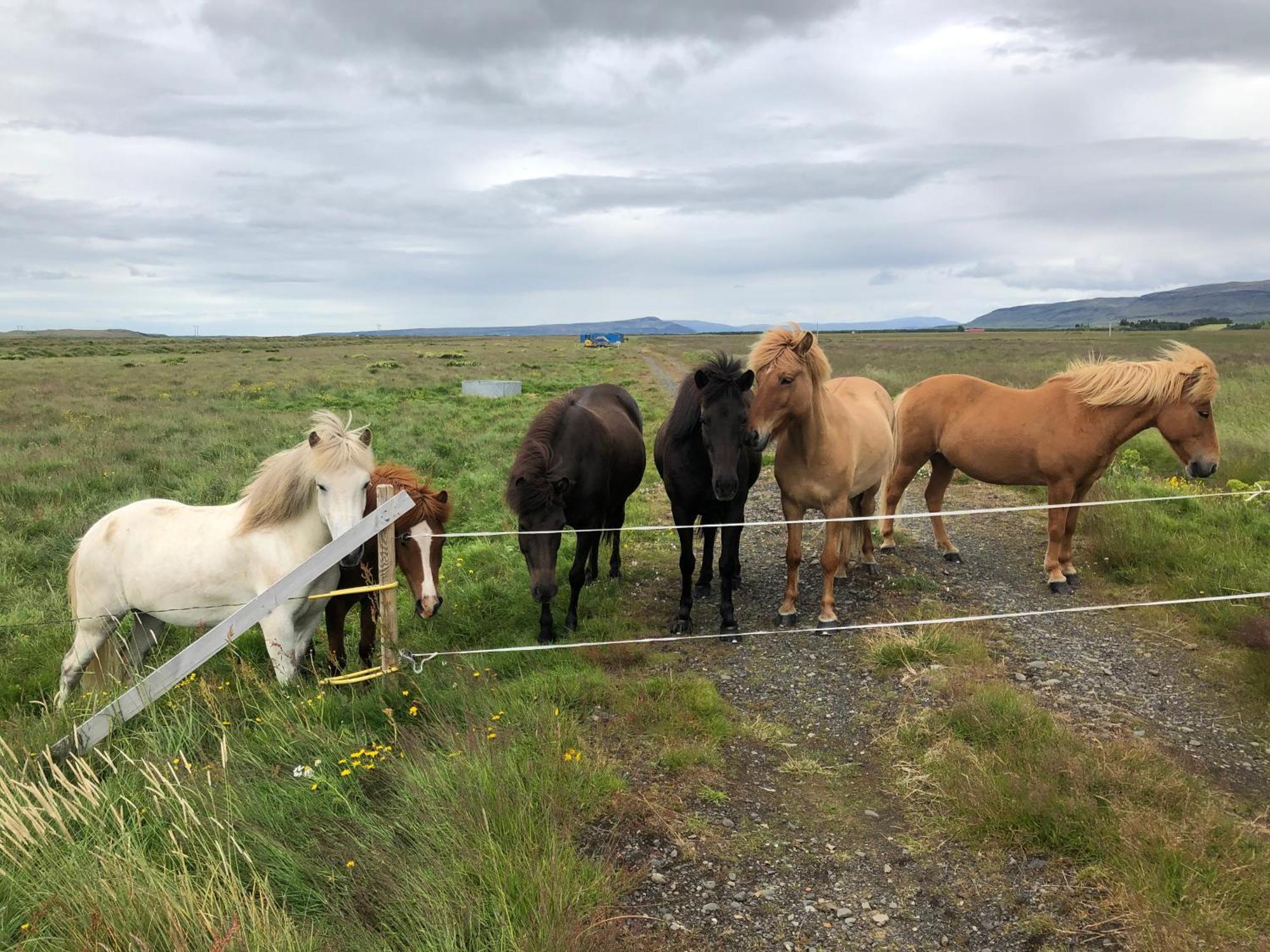 Þrandarholt Villa Hreppholar ภายนอก รูปภาพ